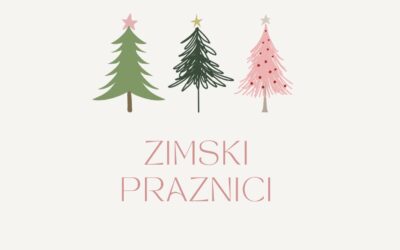 Zimski praznici