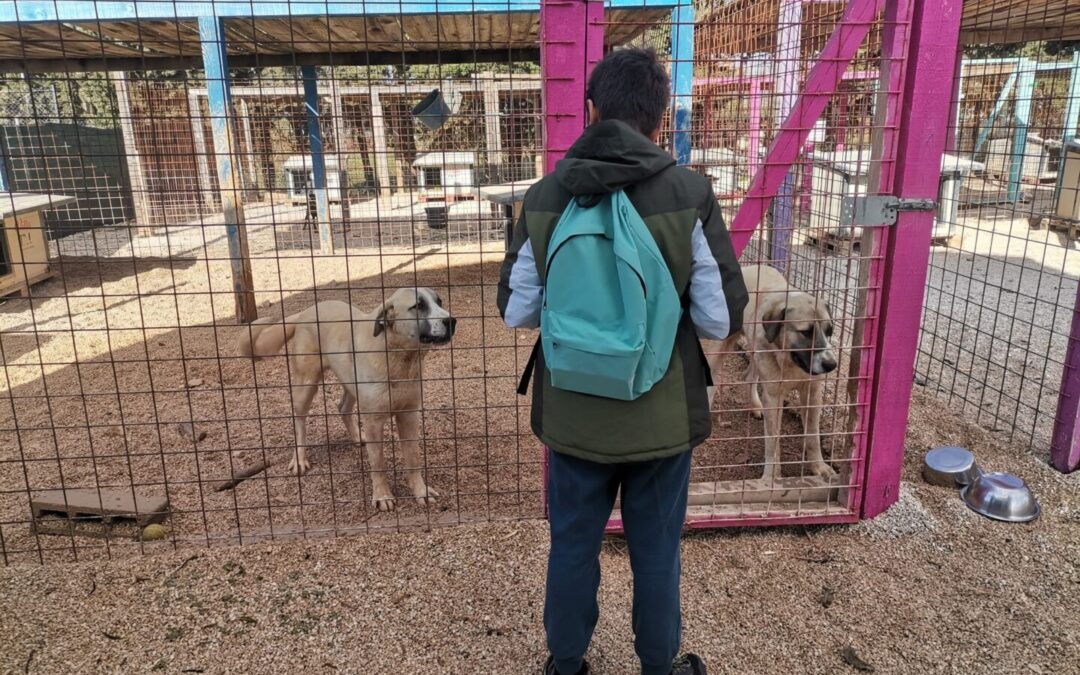 Posjet zadarskom azilu za pse